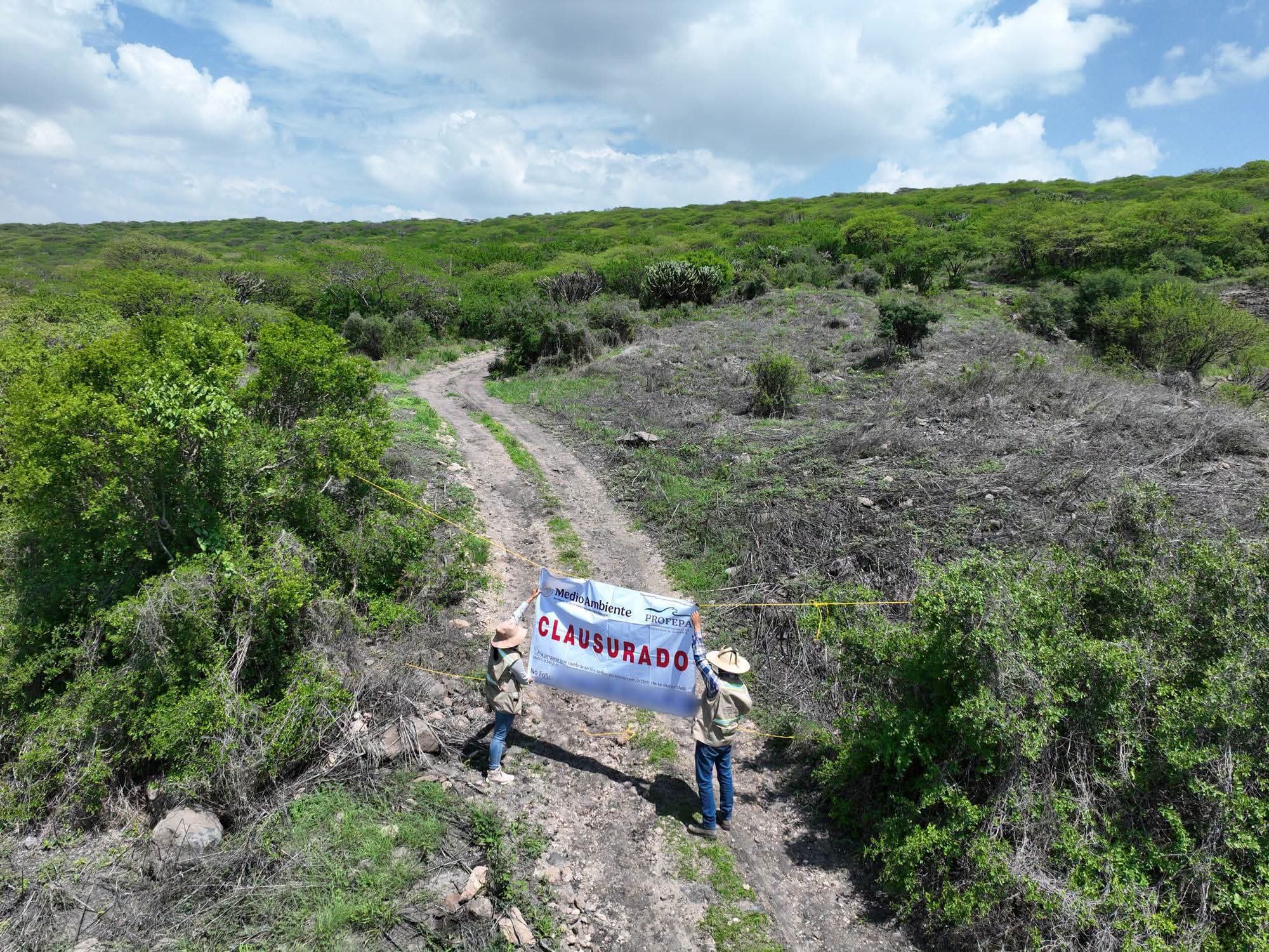 Clausuran actividades ilegales en Peña Colorada; devastaron más de 88 mil metros cuadrados de vegetación