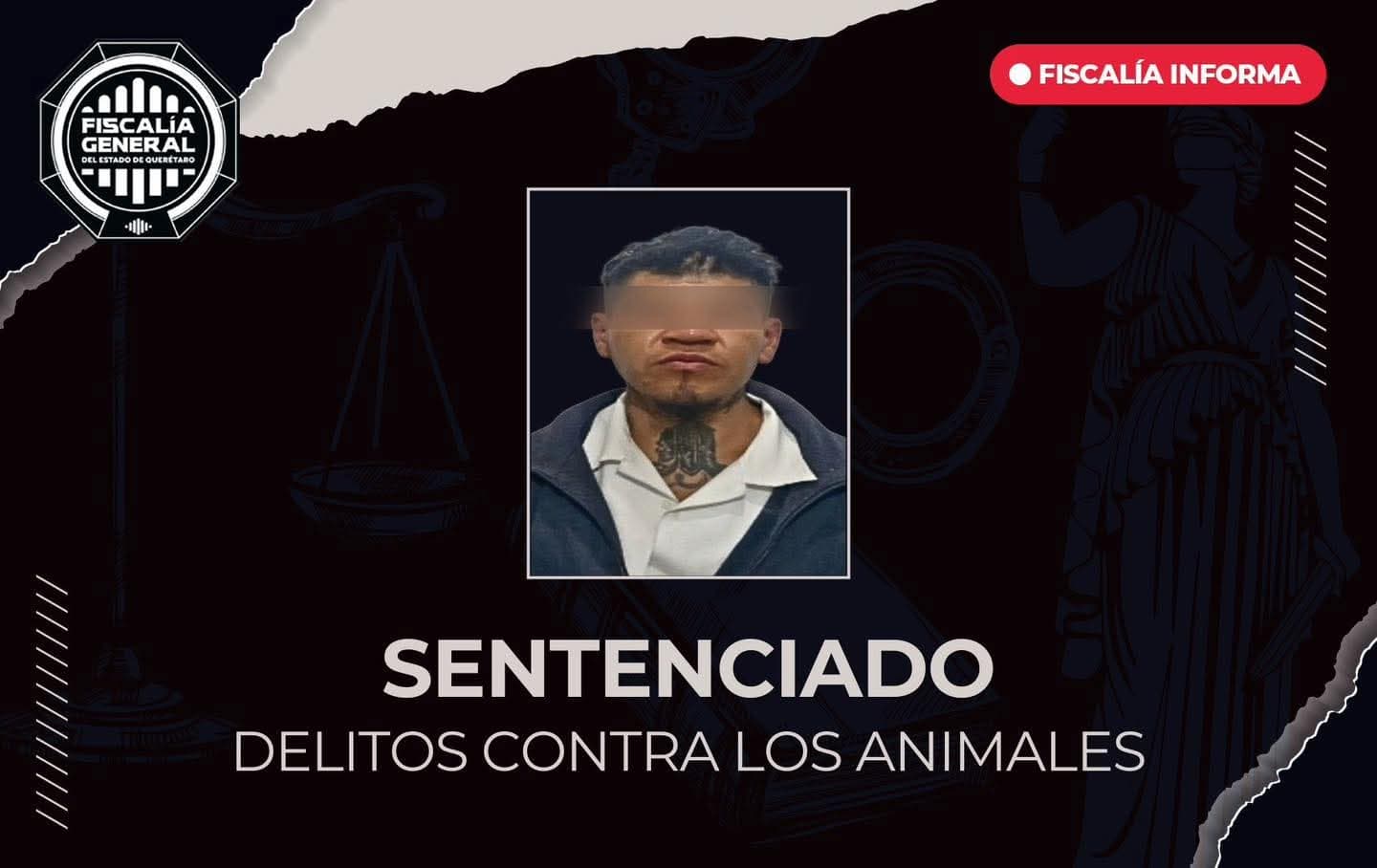 Sentencian a hombre por maltrato animal en Querétaro