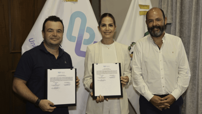 Diseño sin título