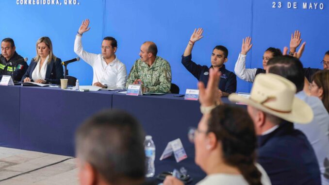 Imagen de WhatsApp 2025-05-23 a las 11.52.34_c0053809