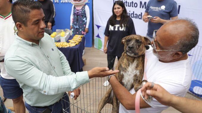 Imagen de WhatsApp 2025-06-11 a las 12.47.59_a2e9ab6c